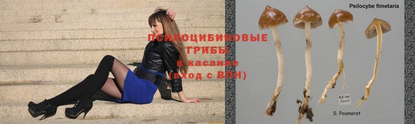 кокс Зуевка