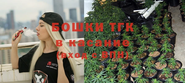 ГАЛЛЮЦИНОГЕННЫЕ ГРИБЫ Алзамай