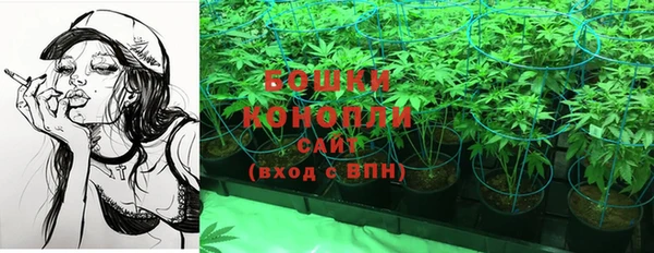 ГАЛЛЮЦИНОГЕННЫЕ ГРИБЫ Алзамай
