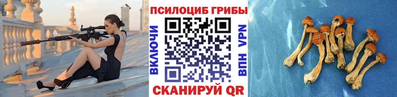 Псилоцибиновые грибы мухоморы Яблоновский